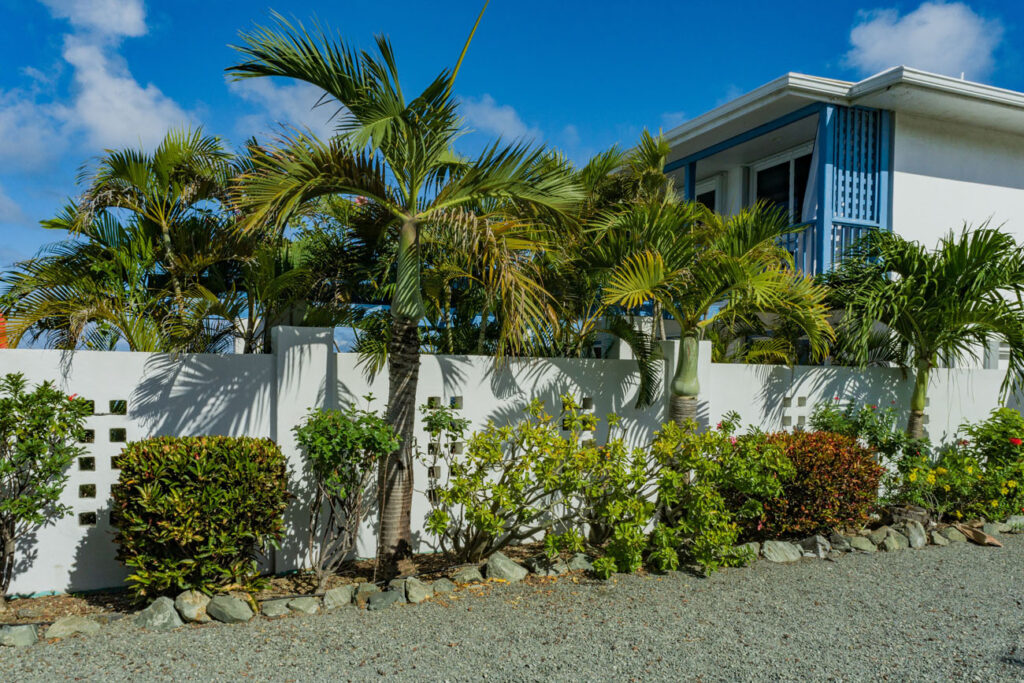 1920CottonValley_050